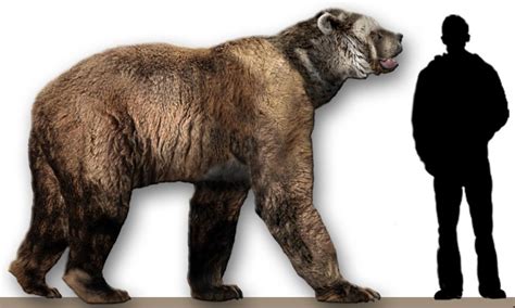 the biggest bear in history|5 Prehistoric Bear Species That Dwarf Modern Bears.